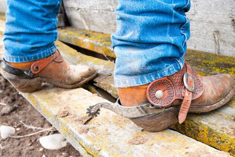 Man wear cowboy boots for outdoor work