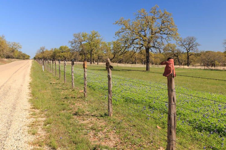 cowboy boots are turned upside down and attached to fence posts to mark the territory ownership