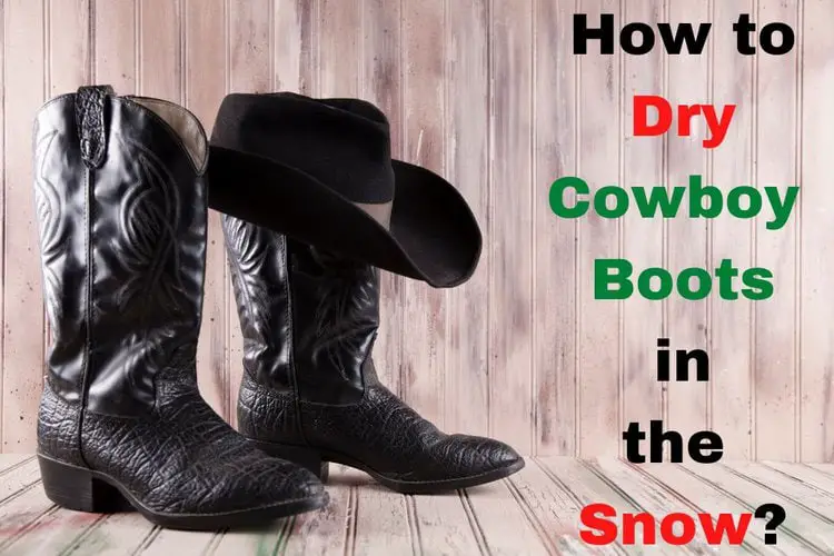 A pair of black cowboy boots and the title