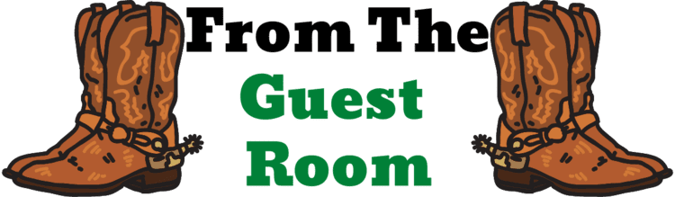 From The Guest Room: Lifestyle, Outfit Ideas & Fashion Trends logo