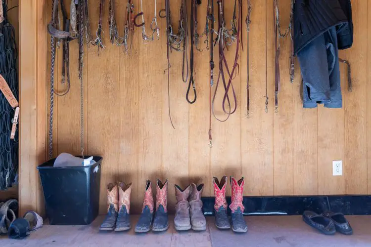 4 pairs of cowboy boots in the house