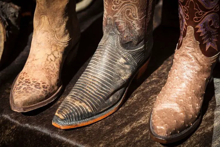 Exotic cowboy boot on the store