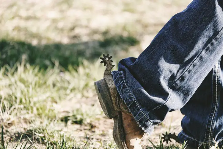 Man wear cowboy boots with spur walking in the ground