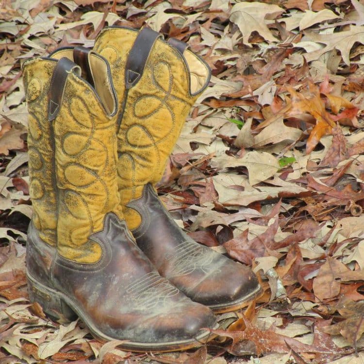 dirty cowboy boots on dry leaves