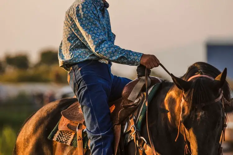Cowboy riding a horse
