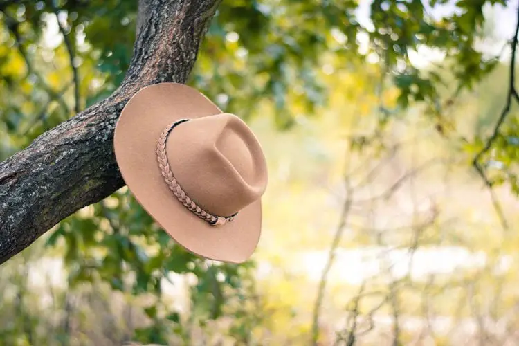felt cowboy hat hanged on a tree
