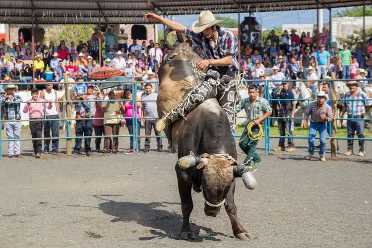 rancher is riding a bull