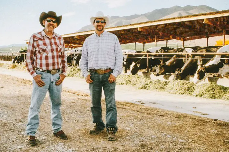 two ranchers with cowboy hats