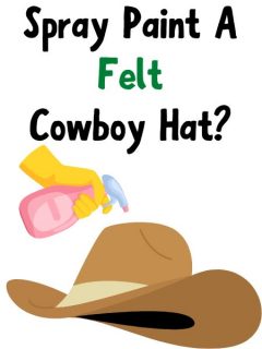 Spray Paint A Felt Cowboy Hat and the title