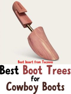 Boot tree and the title
