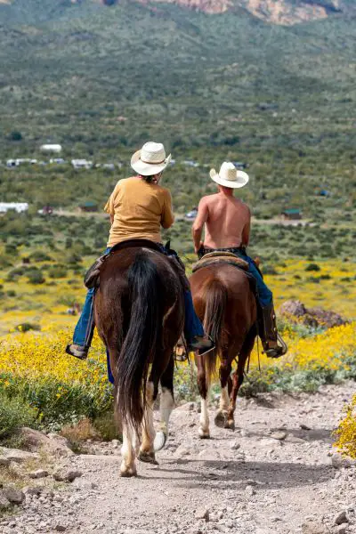 Two cowboys wears cowboy hat and are riding