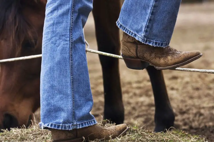 A woman wears jeans and cowboy boots on the ranch